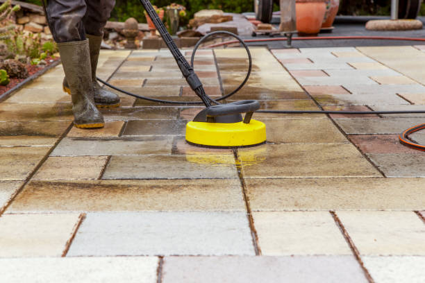 Animal Enclosure Cleaning in Big Sky, MT